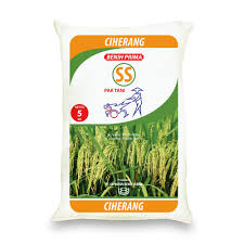 Bibit Padi Unggul